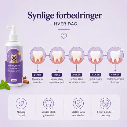 Munnspray for hund — daglig tannpleie uten børste