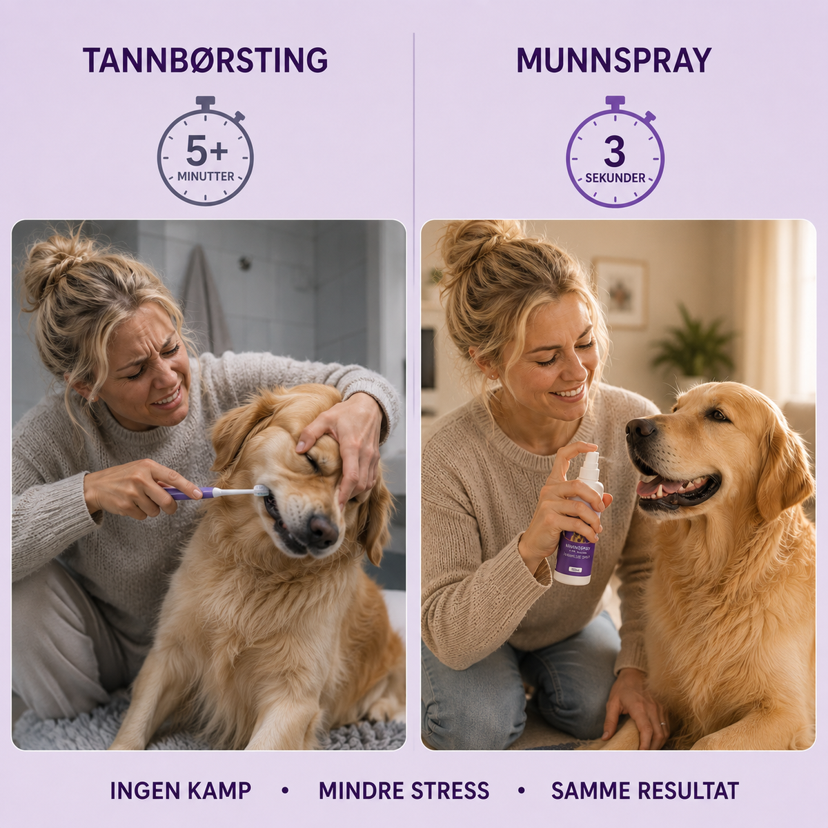 Munnspray for hund — daglig tannpleie uten børste